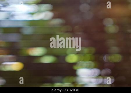 Abstrakter Unschärfenbildhintergrund von Bambusblind mit hellem Bokeh Stockfoto