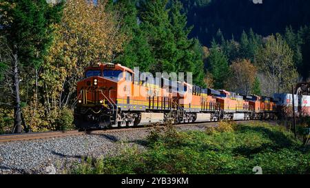 Index, WA, USA - 12. Oktober 2024; BNSF-Güterzug durch Waldlandschaft im ländlichen Washington State Stockfoto