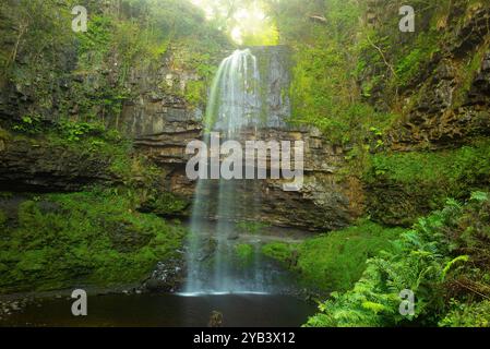 Henrhyd Falls, der höchste Wasserfall in südwales Stockfoto