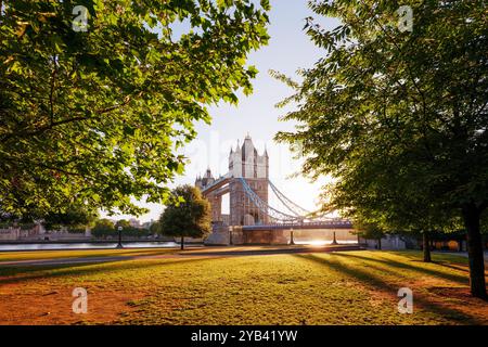 Die London Tower Bridge wird in der frühen Morgensonne durch üppige grüne Bäume gesehen Stockfoto