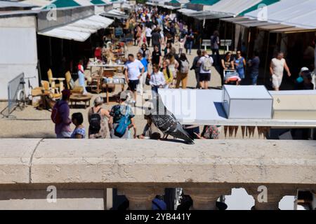 Freizeit- und Entspannungszeit in der Nähe des Flusses Garonne in Bordeaux. Bordeaux, Gironde, Nouvelle Aquitaine, Frankreich, Europa. Foto: Hugo Martin/Al Stockfoto