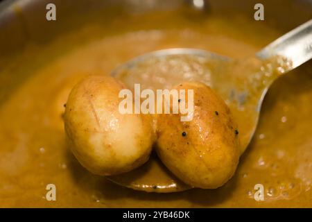 Zwei perfekt gekochte Eier, die in einer reichhaltigen, aromatischen Currysauce kochen. Ein Vorgeschmack auf Indien! Stockfoto
