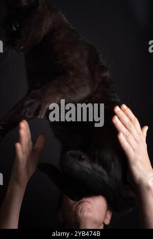 40-jährige Frauen versuchen, eine schwarze Katze zu fangen, die gesprungen ist, um sie zu retten Stockfoto