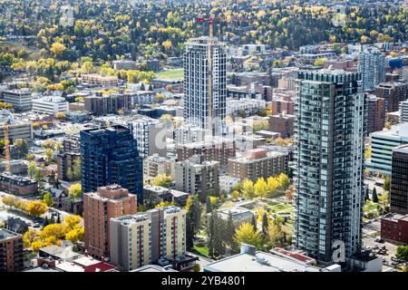 Calgary Alberta Canada, 12. Oktober 2024: Blick in die herbstliche Stadtlandschaft mit mehreren Wohnhäusern mit Blick auf Straßen mit Bäumen in Herbstfarben Stockfoto