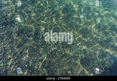 Klares türkisfarbenes Wasser tanzt über einer Vielzahl von bunten Kieselsteinen, die im Sonnenlicht glitzern. Das beruhigende Ambiente vermittelt ein Gefühl von Ruhe und Natürlichkeit Stockfoto