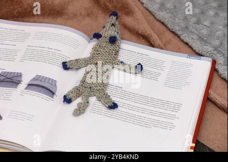 Ein verspieltes Stricktier liegt auf einem offenen Handbuch, umgeben von weichen Texturen, die Inspiration für kreative Projekte an einem gemütlichen Tag entfachen. Stockfoto