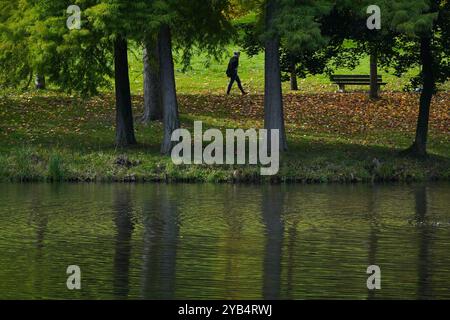 Kronberg, Hessen, Deutschland. Oktober 2024. Eine Frau spaziert durch einen Park zwischen Bäumen in Kronberg, Deutschland. (Kreditbild: © Matias Basualdo/ZUMA Press Wire) NUR REDAKTIONELLE VERWENDUNG! Nicht für kommerzielle ZWECKE! Stockfoto