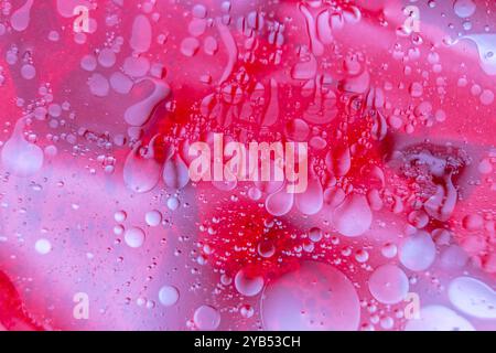 Dieses Makrofoto erfasst einen abstrakten Hintergrund mit leuchtenden Rot- und Rosa-Tönen. Stockfoto