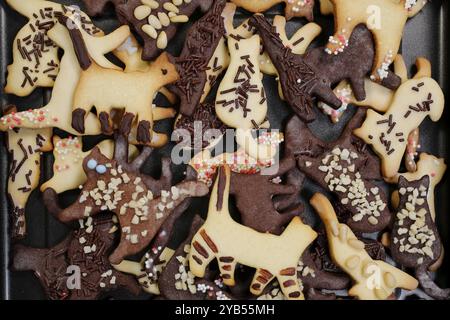 Schwäbische Küche, schwäbische Weihnachtsgebäck, Keksschneider, Shortbread Kekse, Katzenfiguren, mit Schokolade bemalt, typisch schwäbisch, backen, Christus Stockfoto