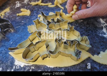 Schwäbische Küche, schwäbische Weihnachtsgebäck, Zubereitung von Keksschneidern, Shortbread Biscuits, Katzenfiguren, Ausschneiden von rohem Teig mit Formen, typisch Stockfoto