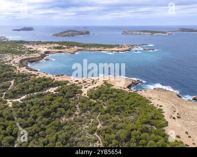 Luftaufnahme einer Küstenlandschaft mit türkisblauem Wasser und grünen Wäldern, Cala Bassa, Ibiza, Balearen, Spanien, Europa Stockfoto
