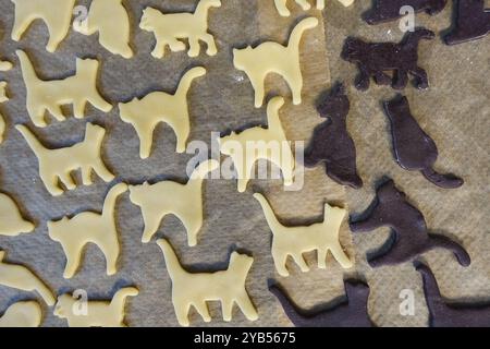 Schwäbische Küche, schwäbische Weihnachtsgebäck, Zubereitung von Ausstecherle, Shortbread Biscuits, Katzenfiguren, rohe Teigstücke mit Kakao und weiß auf b Stockfoto