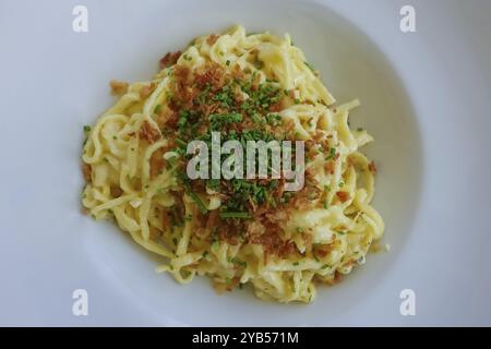 Schwäbische Küche, traditionelle Küche, Hausmannskost, typisch schwäbisch, deftig, Kaesspetzle mit geschmorten Zwiebeln, Schnittlauch, Restaurant Königliche Post, Res Stockfoto