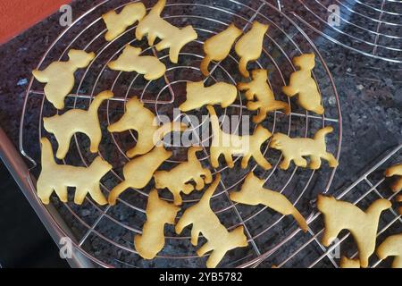 Schwäbische Küche, schwäbische Weihnachtsgebäck, Zubereitung von Ausstecherle, Shortbread Biscuits, Katzenfiguren nach dem Backen, Kühlregal, typisch schwäbisch Stockfoto