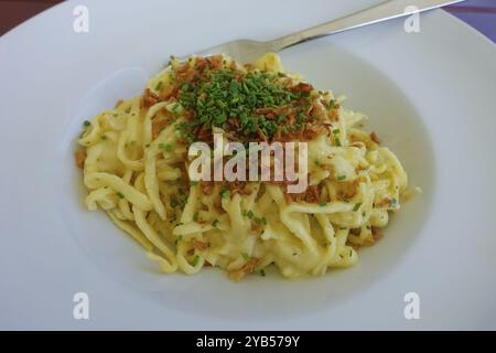 Schwäbische Küche, traditionelle Küche, Hausmannskost, typisch schwäbisch, deftig, Kaesspetzle mit geschmorten Zwiebeln, Schnittlauch, Restaurant Königliche Post, Res Stockfoto