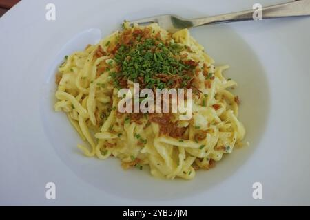 Schwäbische Küche, traditionelle Küche, Hausmannskost, typisch schwäbisch, deftig, Kaesspetzle mit geschmorten Zwiebeln, Schnittlauch, Restaurant Königliche Post, Res Stockfoto