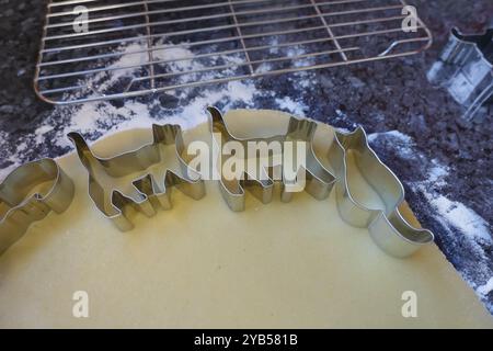 Schwäbische Küche, schwäbische Weihnachtsgebäck, Zubereitung von Keksschneidern, Shortbread Biscuits, Katzenfiguren, Ausschneiden von rohem Teig mit Formen, typisch Stockfoto