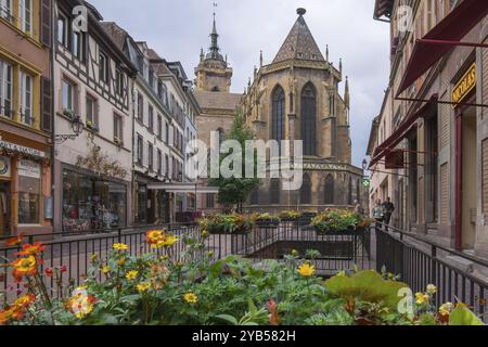 St. Martin's Cathedral in der Altstadt von Colmar, Elsass, Frankreich, Europa Stockfoto