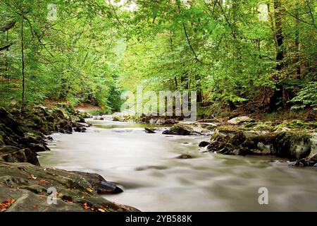 Der Fluss Schwarza in Thüringen Schwarza ein thüringischer Bergfluss Stockfoto