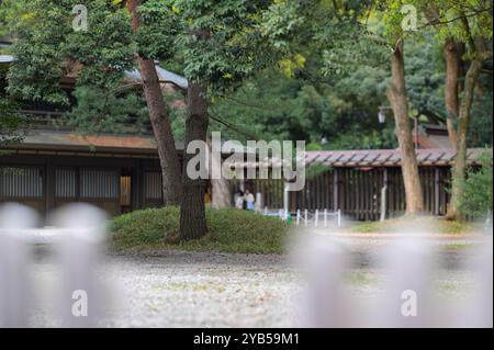 Das historische innere Viertel des Meiji-Schreins, Tokyo Shibuya JP Stockfoto