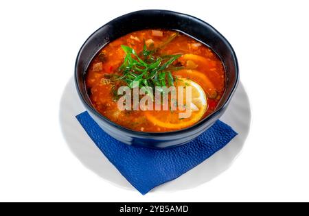 Russische Suppe Soljanka auf weißem Hintergrund Stockfoto