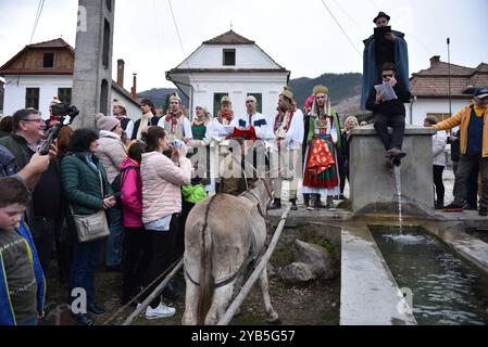 RIMETEA, RUMÄNIEN - 2. MÄRZ 2024: Nicht identifizierte Männer in Frauenkleidung feiern den Karneval am Ende des Winters Stockfoto