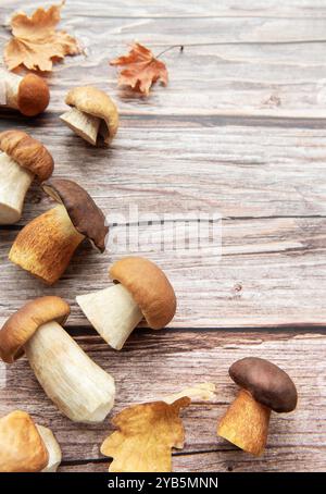 Eine Sammlung frisch geernteter Pilze liegt auf einer rustikalen Holzoberfläche, begleitet von verstreuten Herbstblättern, die eine saisonale Atmosphäre schaffen. Stockfoto