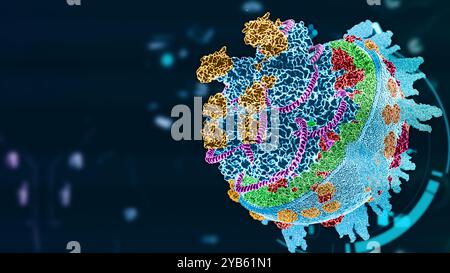 Vogelgrippevirus h5n1, medizinische Illustration Oberflächenstruktur, Vogelgrippe, Vogelgrippe beim Menschen, 3D-Darstellung Stockfoto