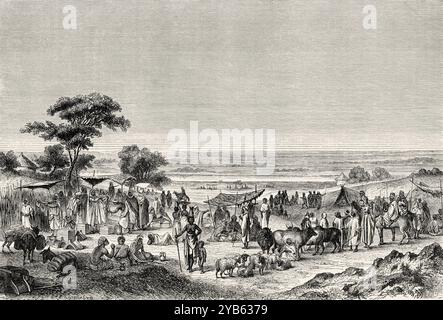 Markt in Sokoto, Nigeria, Westafrika. Zeichnung von Auguste Hadamard (1823–1886) Reisen und Entdeckungen in Nord- und Zentralafrika, 1849-1855 von Heinrich Barth (1821–1865) Le Tour du Monde 1860 Stockfoto