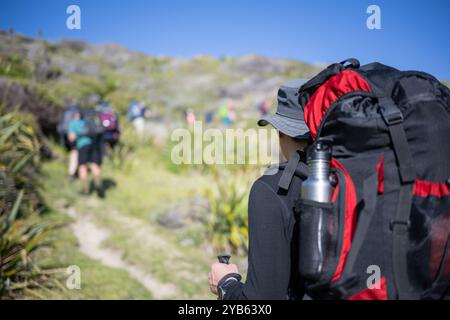 Backpacker Wandern Cape Brett Walkway. Nicht erkennbare Menschen in der Ferne. Bay of Islands. Stockfoto