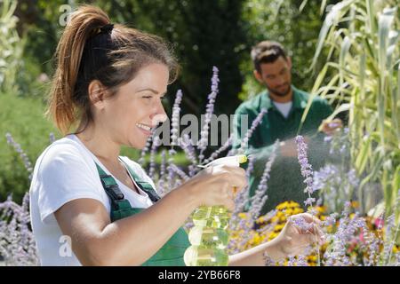 Eine Frau, die ein Blatt von Obstbäumen besprüht Stockfoto