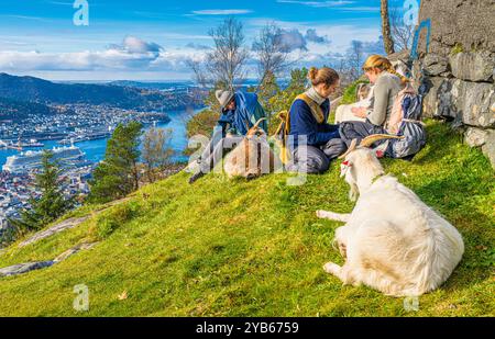 Herbstfarben in den Bergen in Norwegen. Dies ist vom Mt. Floyen, der mit der Standseilbahn vom Stadtzentrum aus erreicht werden kann. Stockfoto