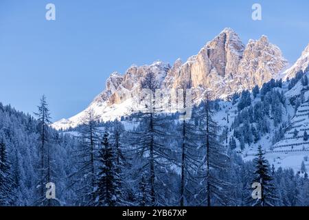 Hohe Dolomitengipfel in Südtirol mit dramatischen Licht- und Schattenkontrasten. Sonnendurchflutete Berggipfel und schattiger verschneite Wald bilden eine beeindruckende visuelle Trennlinie Stockfoto