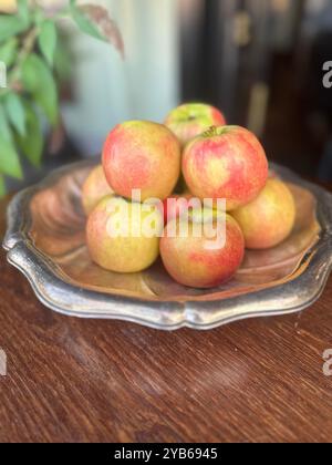 Leckere, frische gelbe und rote Äpfel liegen in einer wunderschönen Schüssel aus Silber und Kupfer. Herbst- und Erntekonzept, gesundes Lebensmittelkonzept, Restaurants und Witwenshop Stockfoto