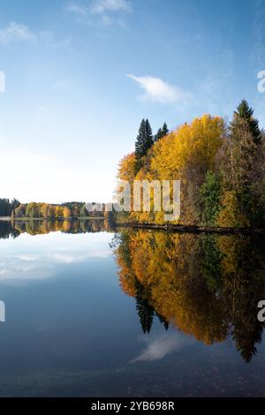 Atemberaubende Herbstbäume, die sich auf totem, ruhigem See spiegeln. Blauer Himmel und leuchtende Farben. Stockfoto