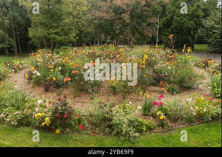 Mulhouse France 23. September 2024. Herbstblumen in den Beeten des Parc Salvator einschließlich Ringelblumen, Taglilien, roten Hot Poker und Cannas. Stockfoto