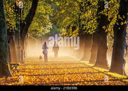 Preston, Lancashire, 17. Oktober 2024. UK Wetter Orange Misty beginnt mit dem Herbsttag. Pendler fahren auf der mit Blättern übersäten Riverside Walk Avenue mit Lindenbäumen im Avenham Park, während die Sonne über dem geschwollenen River Ribble aufgeht. Credit; MediaWorldImages/AlamyLiveNews Stockfoto