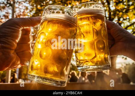 Goldener Oktober, zwei Biergartenbesucher prosten sich zu, Herbstabend im Michaeligarten, München, Oktober 2024 Deutschland, München, Oktober 2024, zwei Biergartenbesucher prosten sich zu, Biergarten Michaeligarten im Ostpark, Goldener Oktober, Münchner geniessen den Herbstabend bei einem Bier, das Bier leuchtet in der Abendsonne, schönes Wetter, Gastronomie, Lebensfreude, Herbst, Bayern, *** Goldener Oktober, zwei Biergartenbesucher stoßen aufeinander, Herbstabend im Michaeligarten, München, Oktober 2024 Deutschland, München, Oktober 2024, zwei Biergarten-Besucher stoßen sich an, Michaeligart Stockfoto