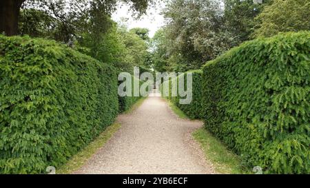 Hecken, Hecken und Hecken in Chiswick Gardens Stockfoto