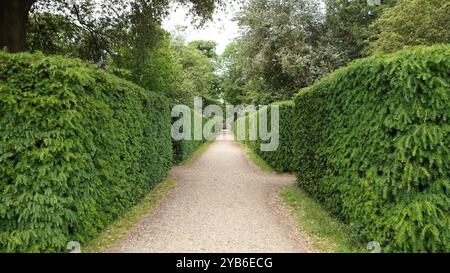 Hecken, Hecken und Hecken in Chiswick Gardens Stockfoto