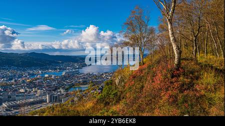 Herbstfarben in den Bergen in Norwegen. Dies ist vom Mt. Floyen, der mit der Standseilbahn vom Stadtzentrum aus erreicht werden kann. Stockfoto