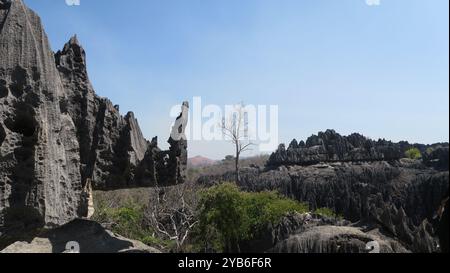 „Big“ Tsingy de Bemaraha, Blick auf das UNESCO-Weltkulturerbe von oben, einzigartige Felsformationen, die nirgendwo sonst auf dem Planeten zu finden sind. Stockfoto