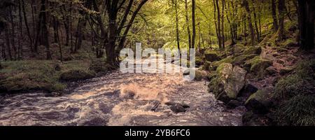 Ein Panoramablick auf die Golitha Falls. Der Fluss Fowey fließt durch den alten Eichenwald Draynes Wood am Bodmin Moor in Cornwall in Großbritannien. Stockfoto