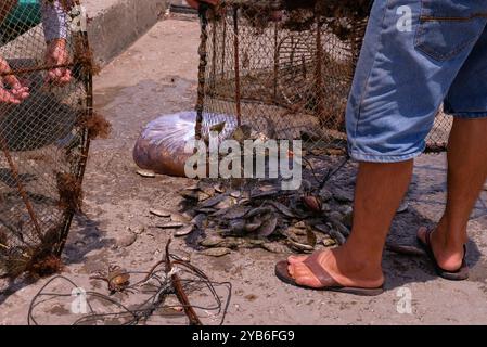 Phu Quoc, Vietnam. Einheimischer Mann entfernt Fische und Krabben, die an sonnigen Tagen in traditionellen Metallfischkäfigen gefangen wurden, am Steg im Fischerdorf Ham Ninh. Stockfoto