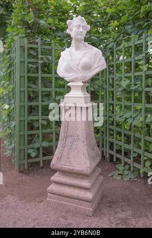 RUSSLAND; SANKT PETERSBURG - 5. JULI - die Skulptur 'Marcia Furnilla. Die Ehefrau des Kaisers Titus Vespasian' am 5. Juli 2015 in St. Stockfoto