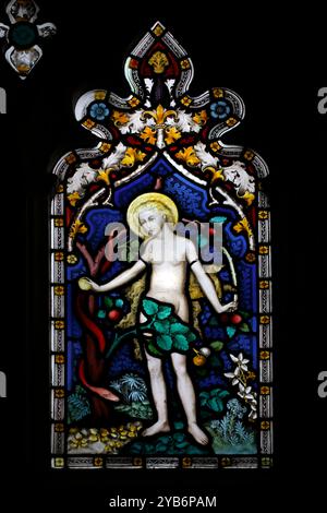 Eve pflückt einen Apfel im Garten Eden. Viktorianische Glasmalerei Gloucester Cathedral, Großbritannien Stockfoto
