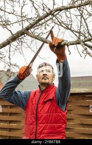 Baumschnitt in einem Herbstgarten. Nahaufnahme der Hände mit einer Säge, die alte Äste schneidet. Stockfoto