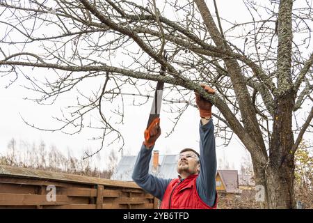 Baumschnitt in einem Herbstgarten. Nahaufnahme der Hände mit einer Säge, die alte Äste schneidet. Stockfoto