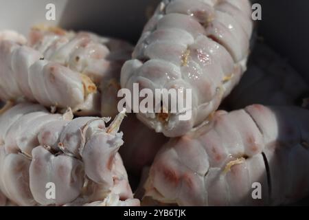 Frisches Kakaobohnenfleisch auf einem Teller Stockfoto