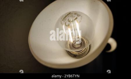 Eine Vintage-Glühlampe befindet sich in einer eleganten Leuchte, die ihr kompliziertes Design zeigt und in einer schwach beleuchteten Umgebung sanft leuchtet. Stockfoto